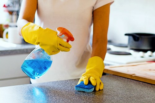 Erith carpet cleaners preparing equipment with safety procedures in a home