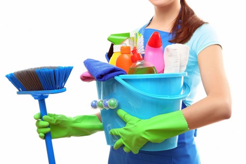 Professional curtain cleaning in Erith for dust and allergen removal
