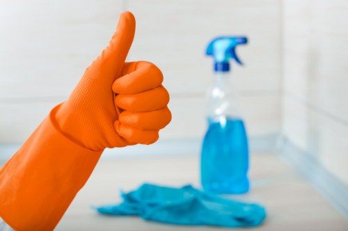 Deep fabric sofa cleaning service in Erith home