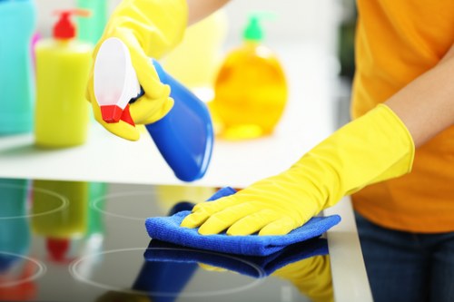 Experienced Erith carpet cleaners restoring carpets with precision